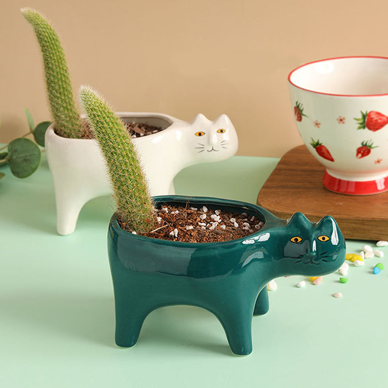 Succulent Ceramic Flower Pot