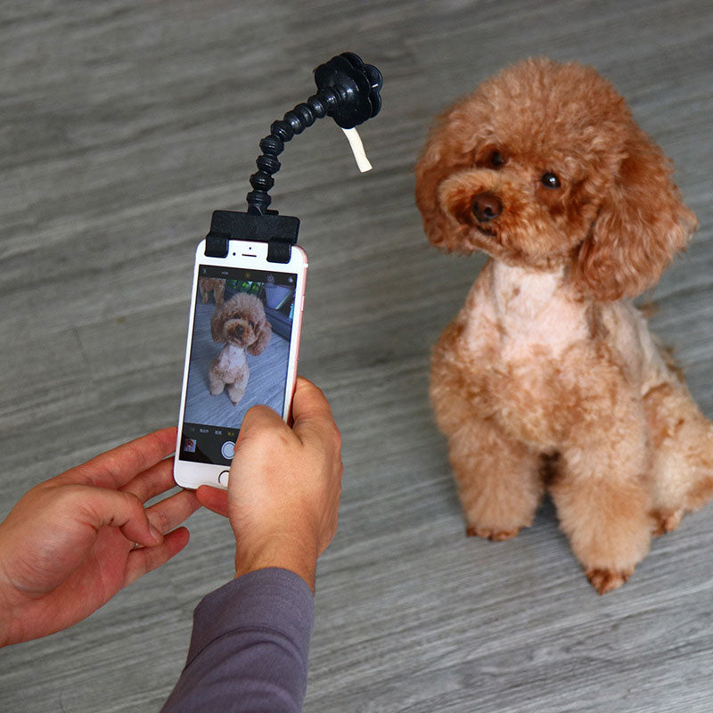 Pet Selfie Stick, Flexible Dog Selfie Stick Rod Cat Photo Toy Accessories