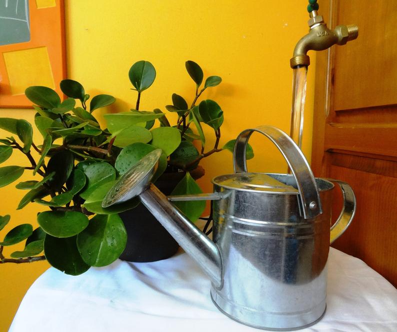 Invisible Flowing Spout Watering Can Fountain - Yard Art Decor