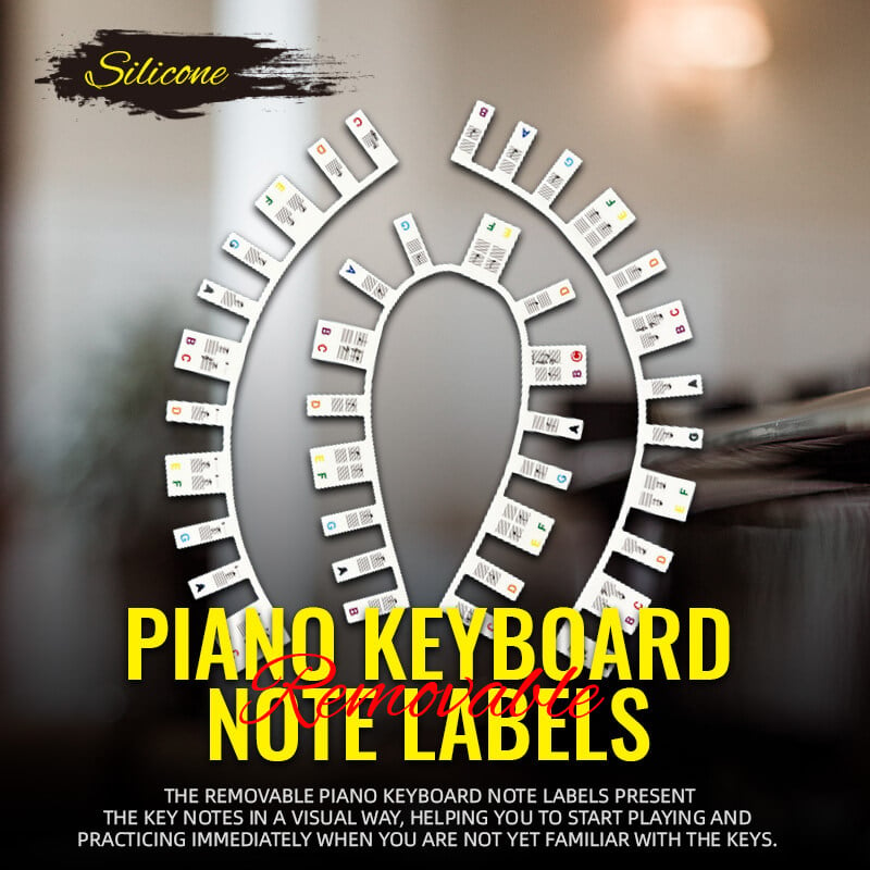 Removable Piano Keyboard Note Labels