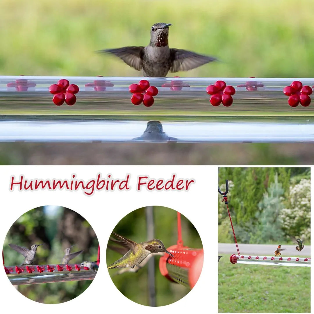 Best Hummingbird Feeder - Limited Promotion