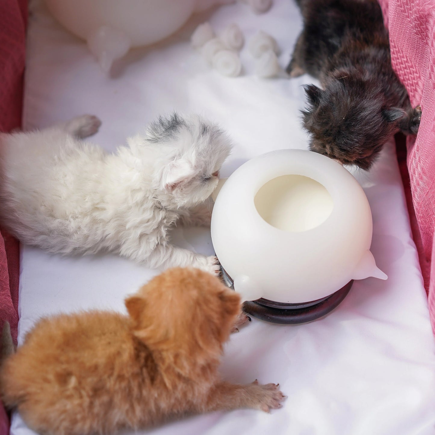 Portable Pet Milk Feeding Bowl