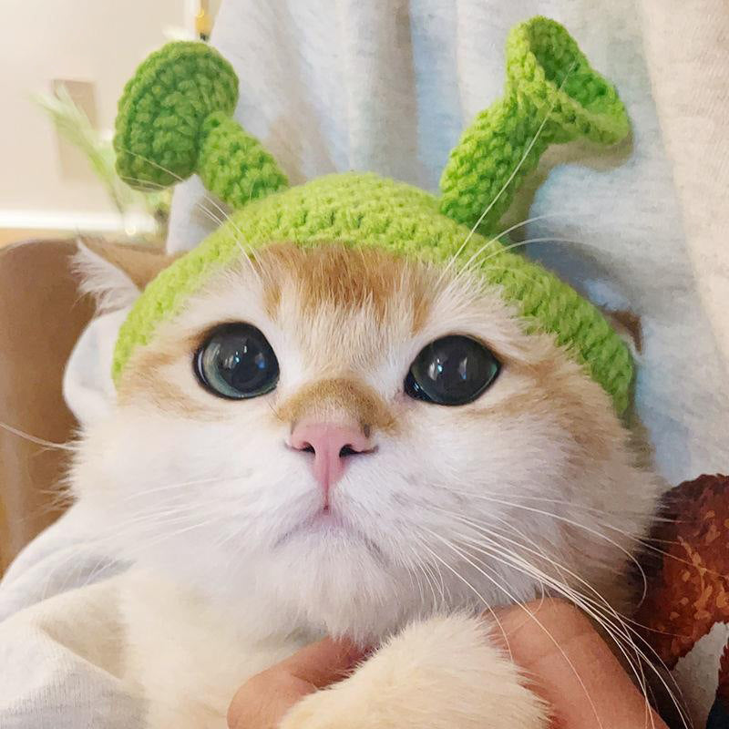 Pets Love Funny Hats