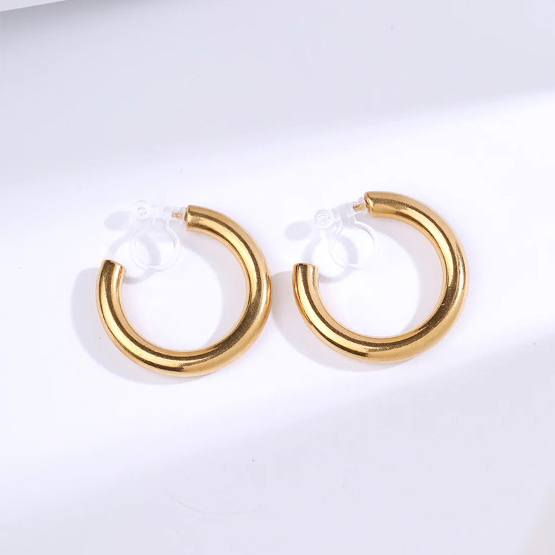 Women's Ins Style Hoop Earrings