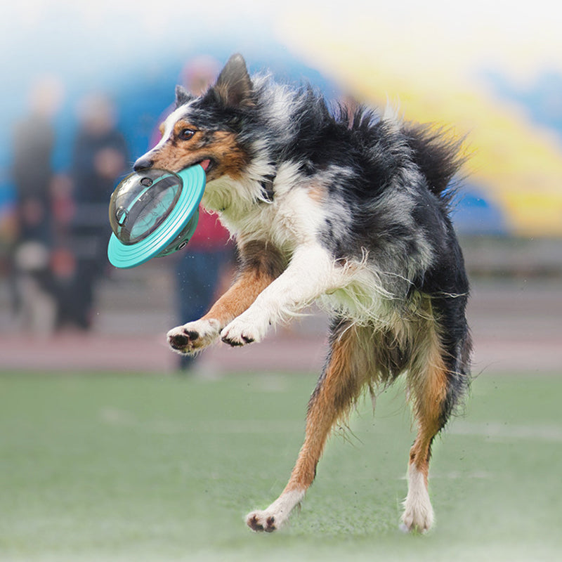 Flying Saucer Slow Feeder Toy