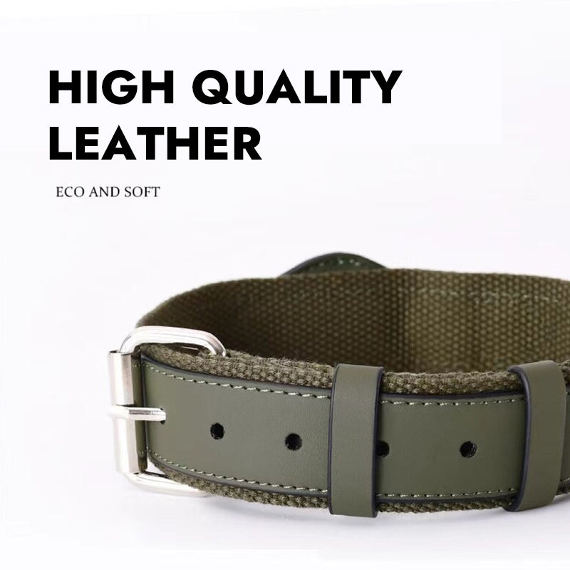 Leather Dog Collar