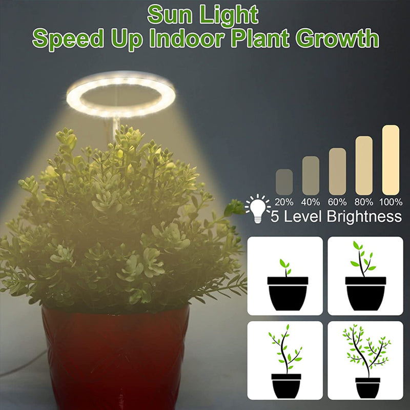 LED Grow Light