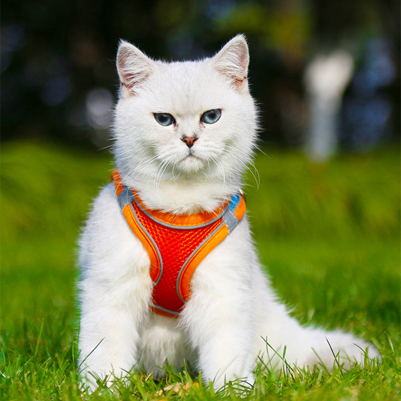 Vest Pet Leash