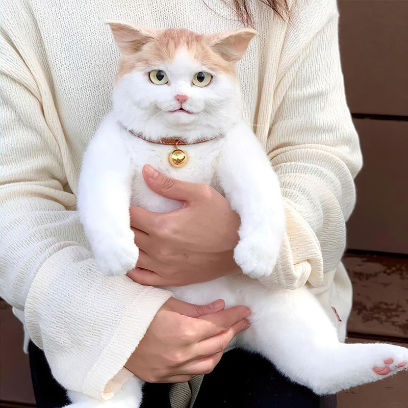 This Cat Backpack Looks Like a Real Live Cat