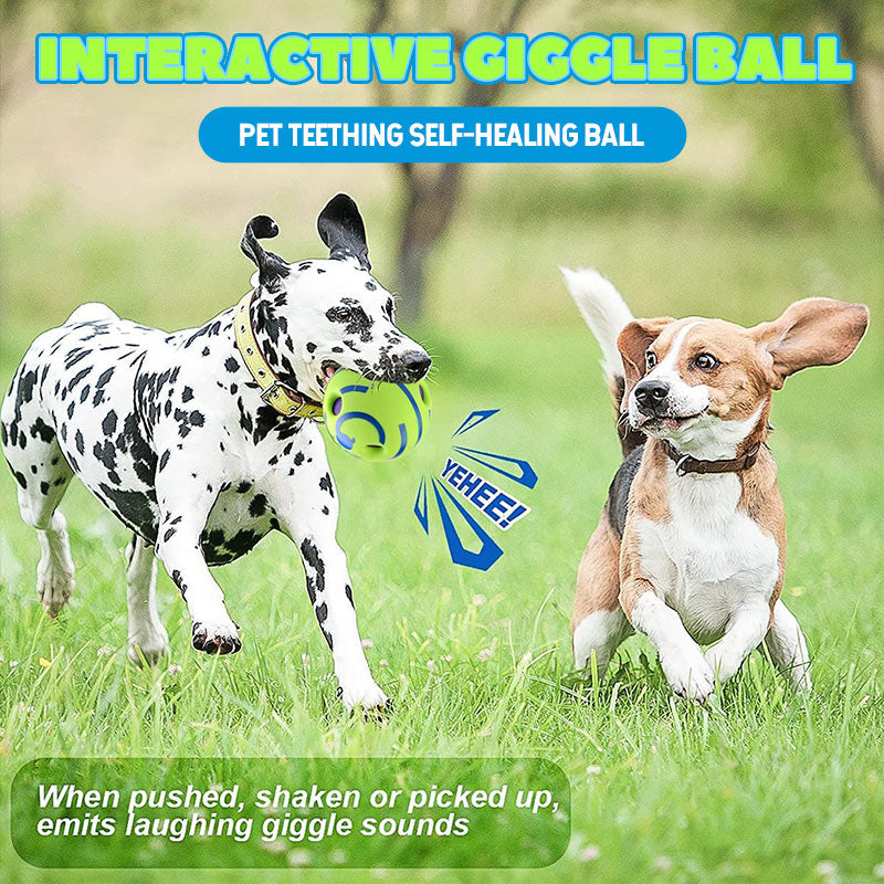 Pet Teething Self-Healing Ball