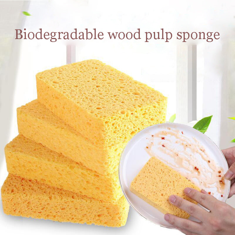 Wood Pulp Sponge