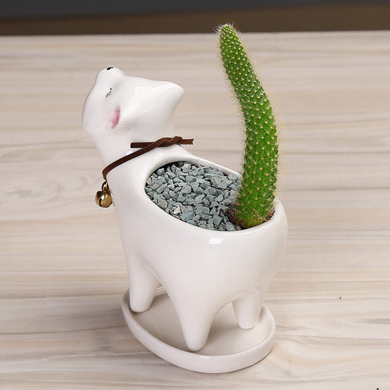 Tail Succulent Cactus Ceramic Flower Pot