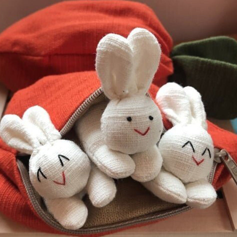 Hide-and-Seek Bunnies in Carrot Pouch