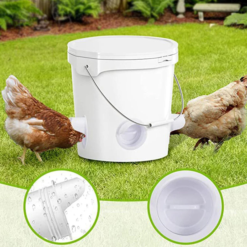 Poultry Automatic Gravity Feeder