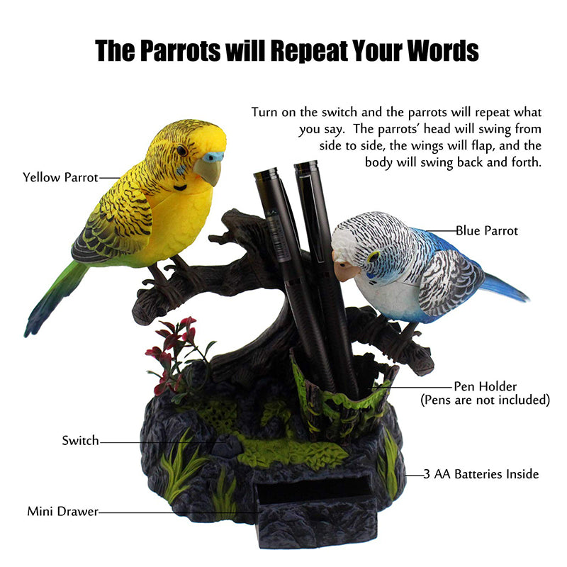 Learn To Talk Like A Parrot