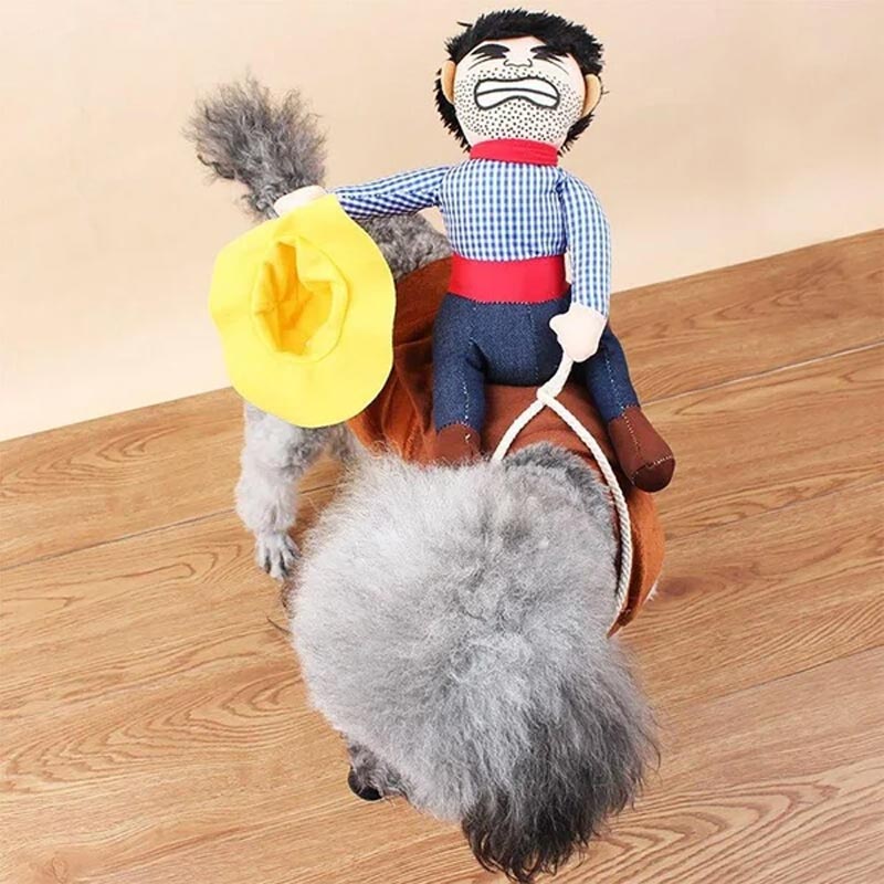 Halloween Pet Dog Cowboy Rider Costume