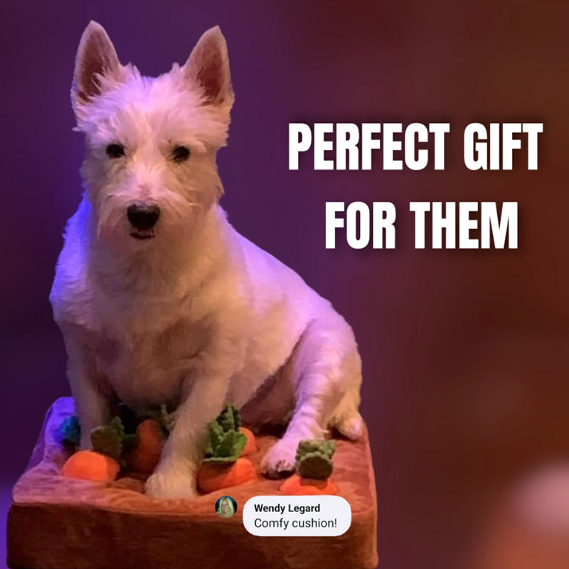 Carrot Plushie - Enriches Your Dog's Life