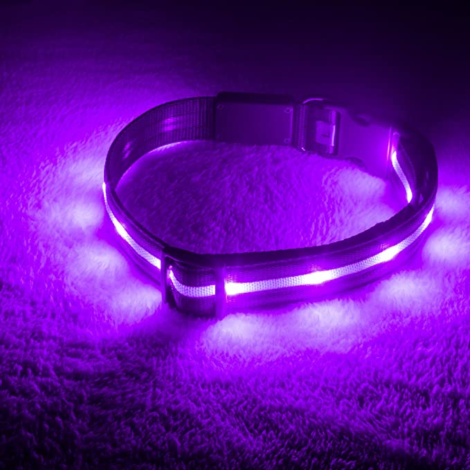 USB Rechargeable Glowing Pet Safety Collar