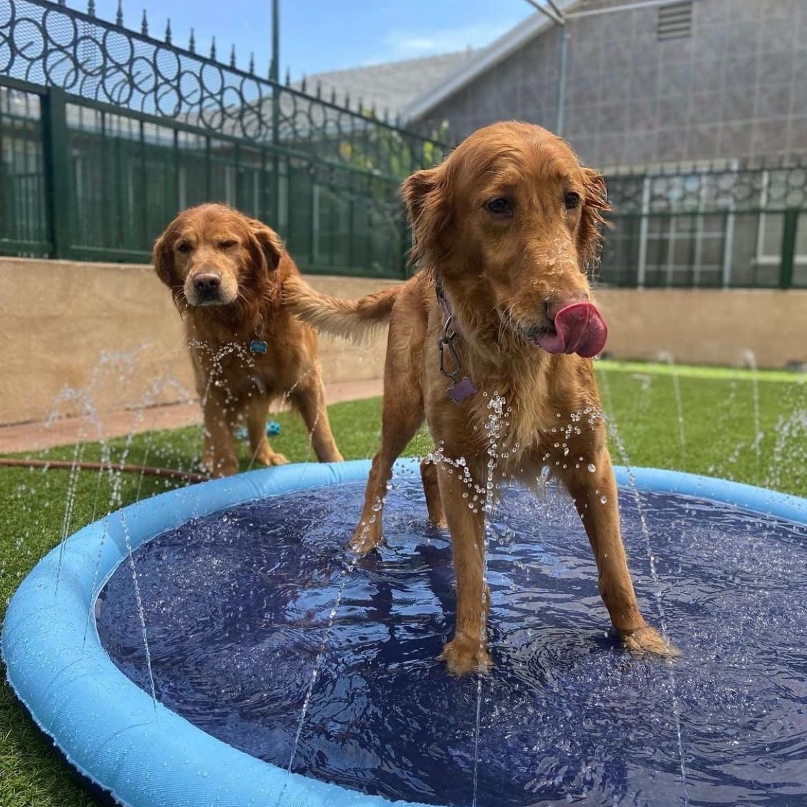 🔥 Non-Slip Splash Pad for Kids and Dog