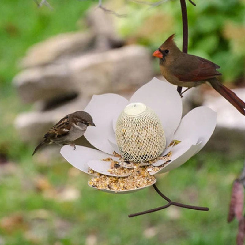 Coneflower Bird Feeder