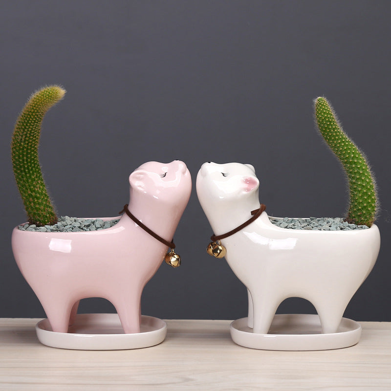 Tail Succulent Cactus Ceramic Flower Pot