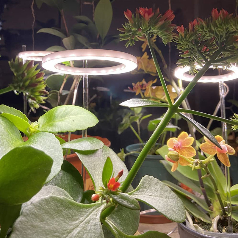 LED Grow Light