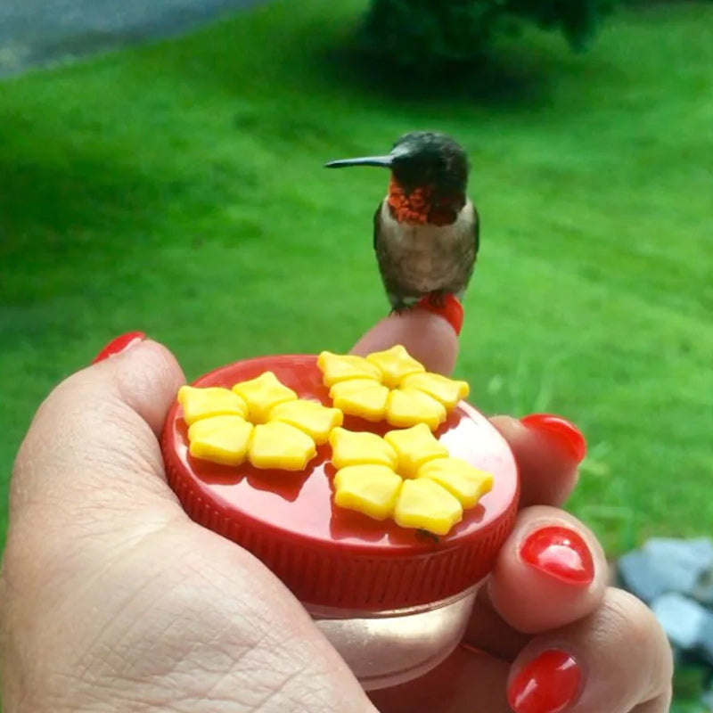 Hummingbird Feeder