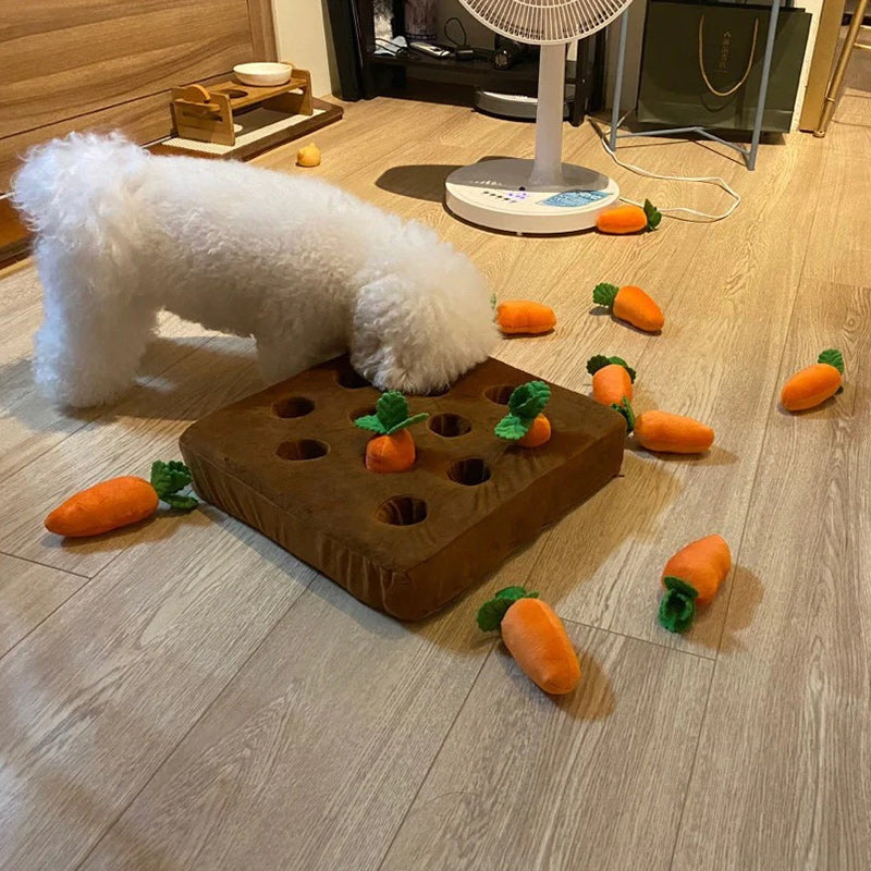 Carrot Plushie - Enriches Your Dog's Life