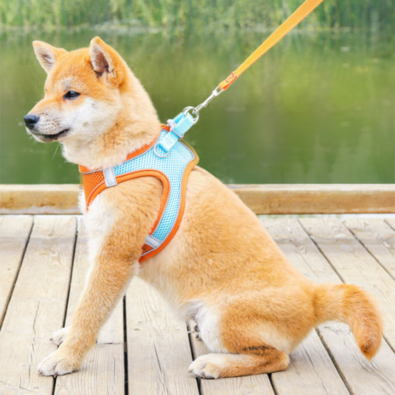 Vest Pet Leash