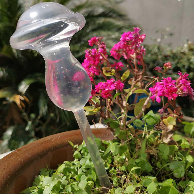 Plant Watering Globes Glass