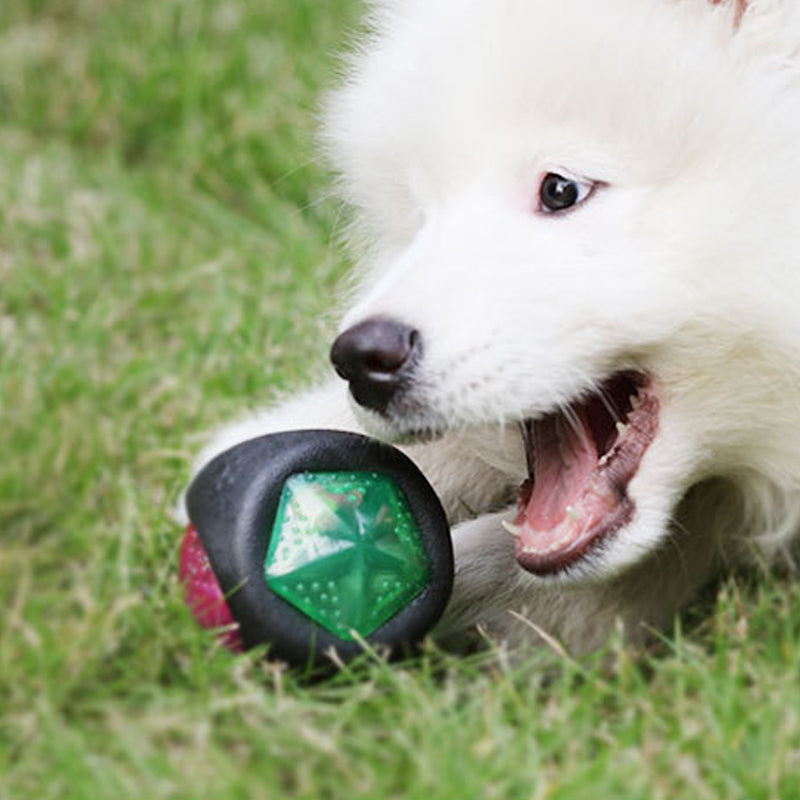 Pet Sound And Light Interactive Training Ball