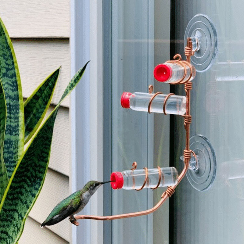 Suction Cup Type Window Hummingbird Feeder