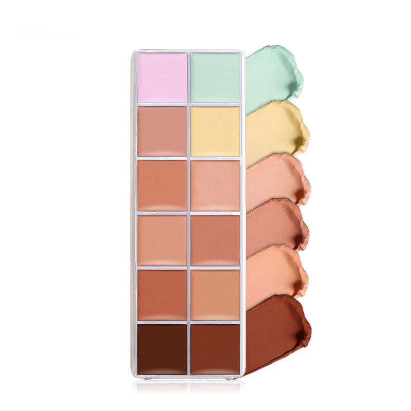 12 Color Concealer