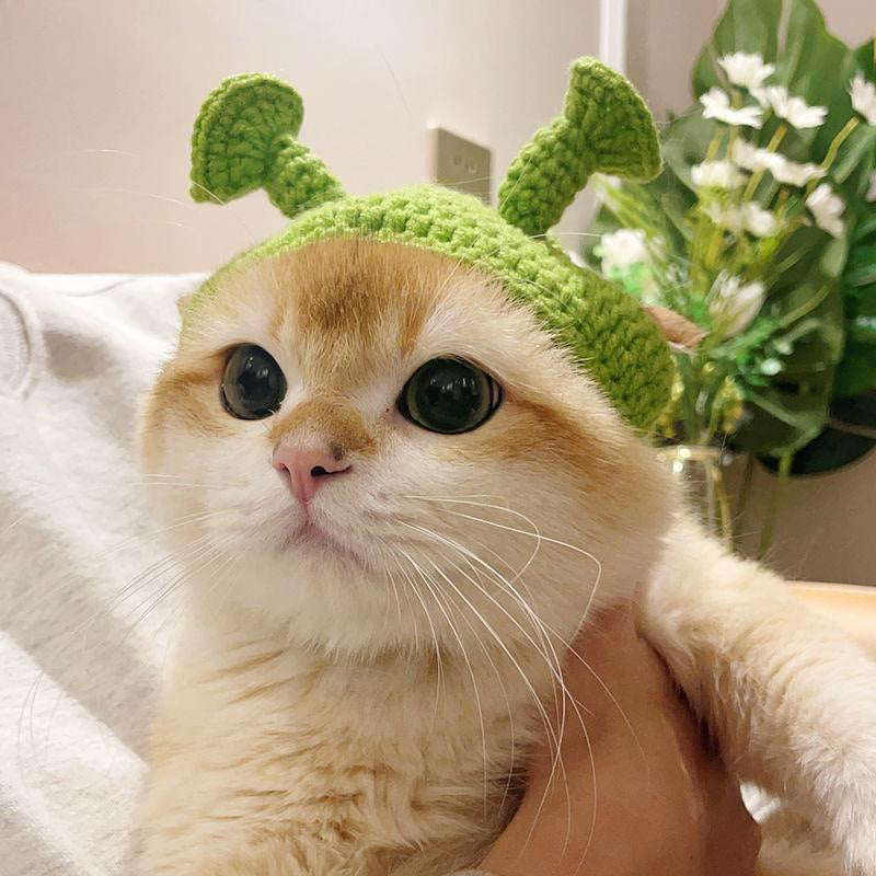 Pets Love Funny Hats