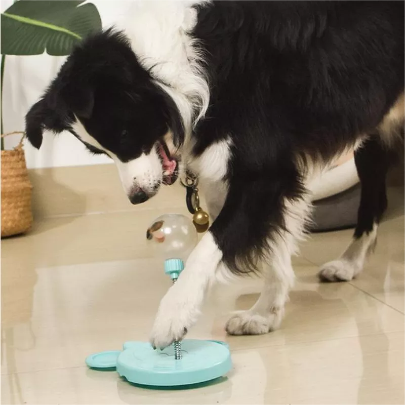 Funny Cat Leaky Eating Ball