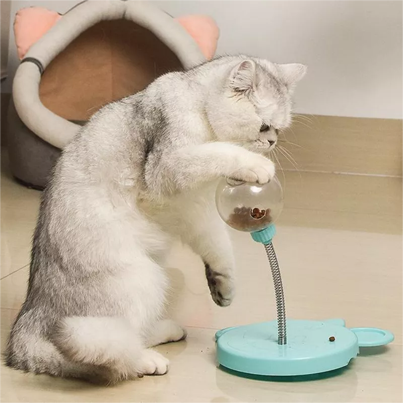 Funny Cat Leaky Eating Ball