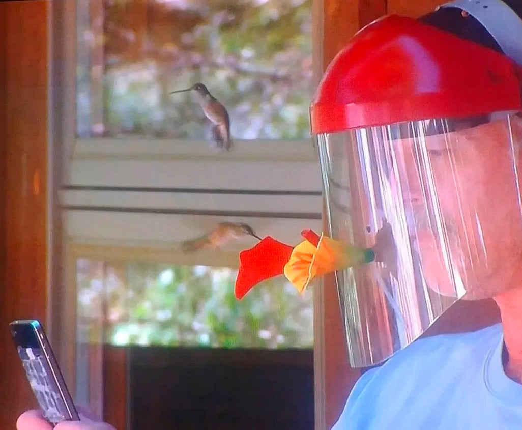 Helmet Bird Feeder