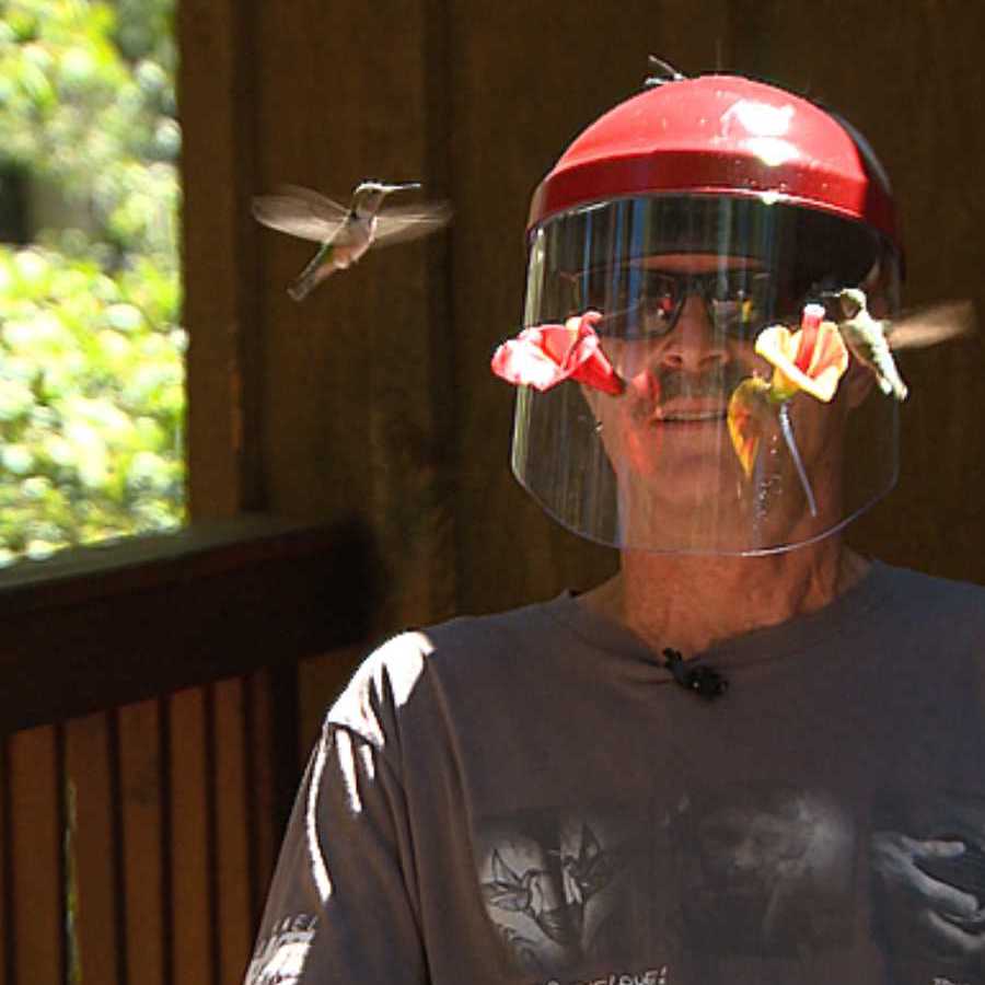 Helmet Bird Feeder