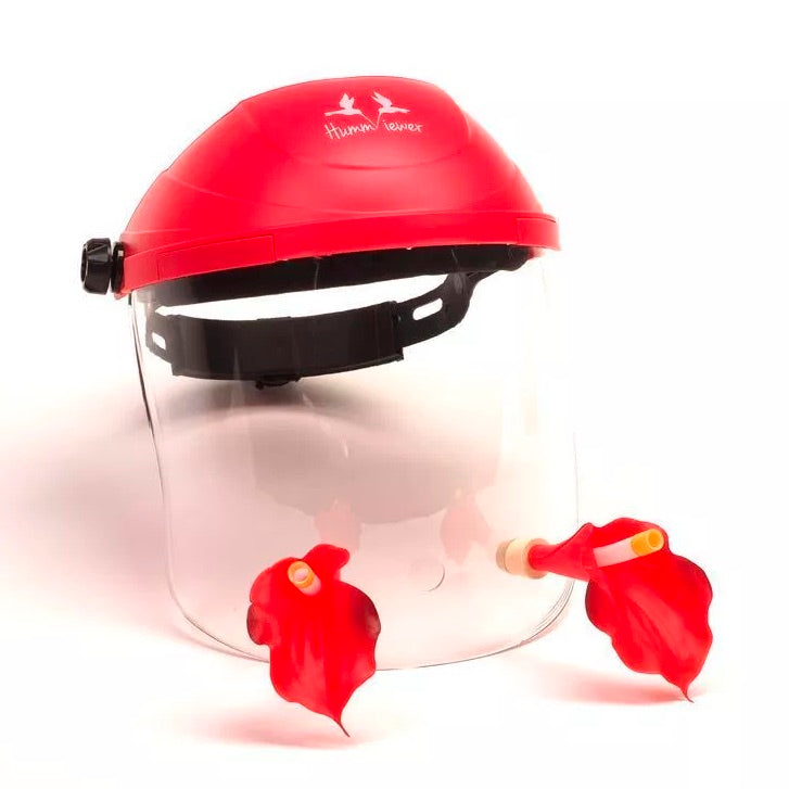 Helmet Bird Feeder