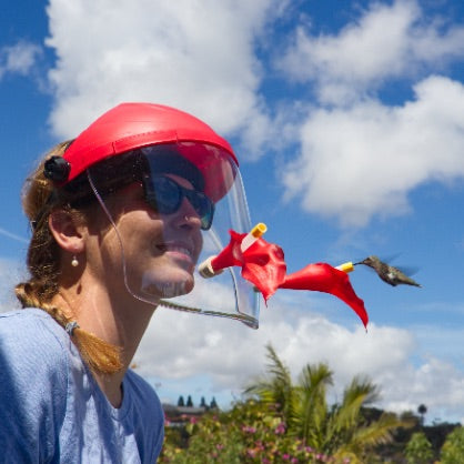 Helmet Bird Feeder