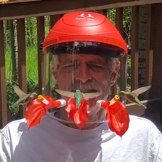 Helmet Bird Feeder