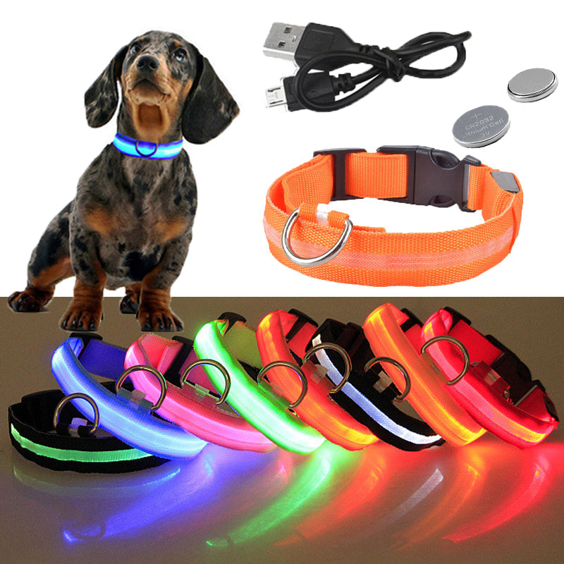 USB Rechargeable Glowing Pet Safety Collar