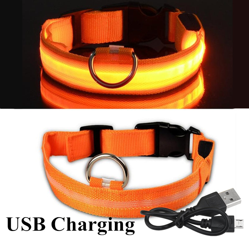 USB Rechargeable Glowing Pet Safety Collar