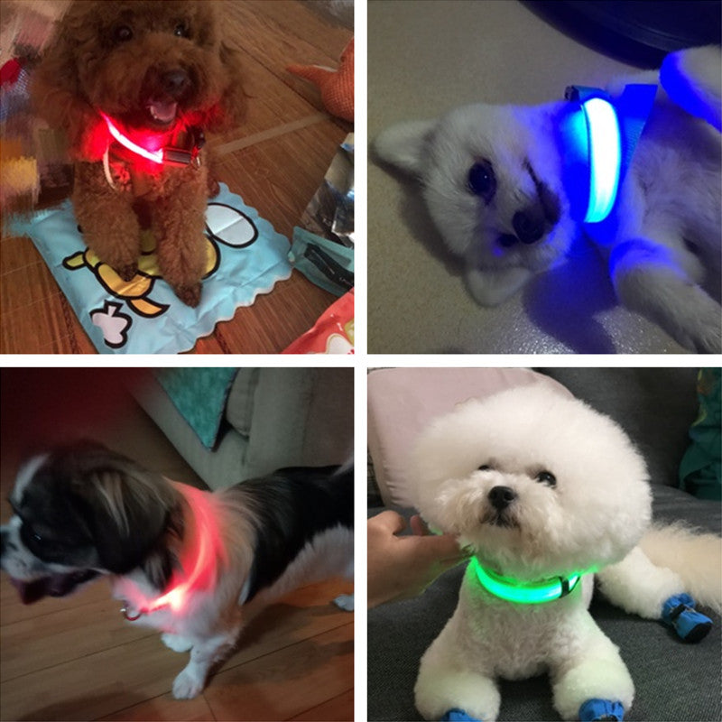 USB Rechargeable Glowing Pet Safety Collar