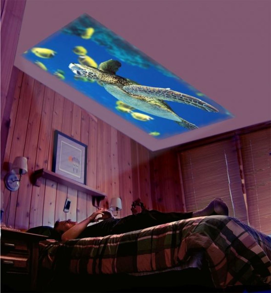 Mini Projector