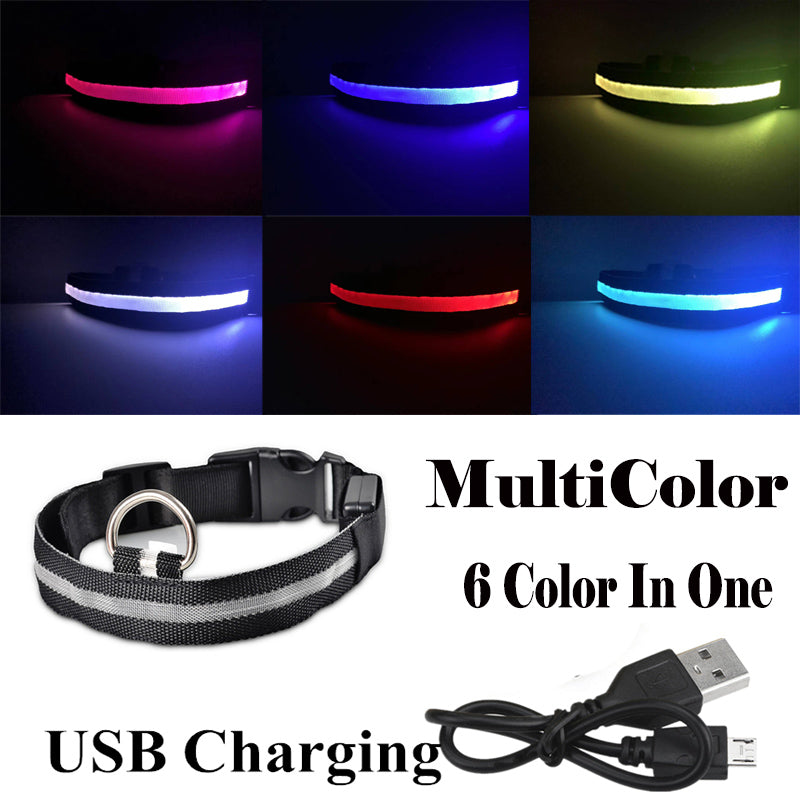 USB Rechargeable Glowing Pet Safety Collar