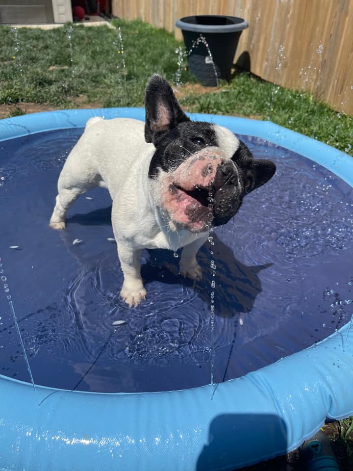 🔥 Non-Slip Splash Pad for Kids and Dog