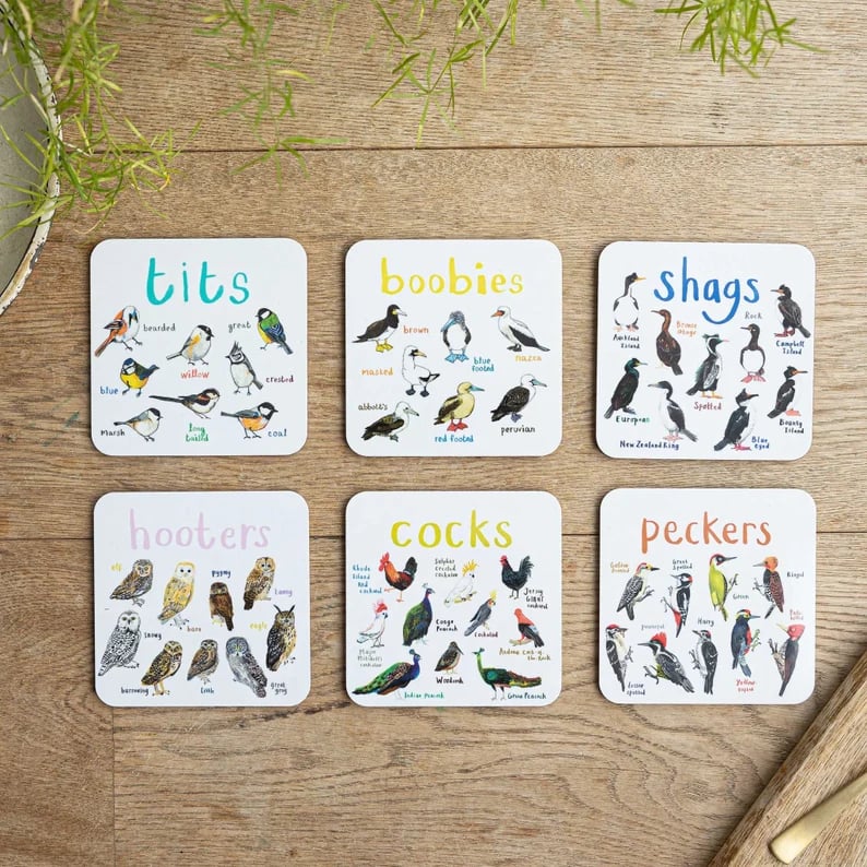 🐦Set of 6 Bird Pun Coasters