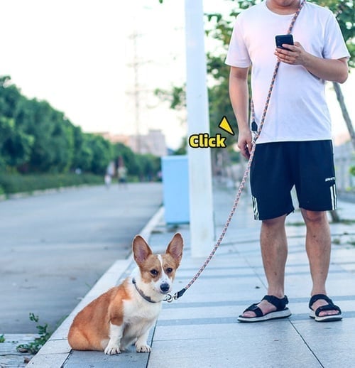 🔥Hands Free Dog Leashes