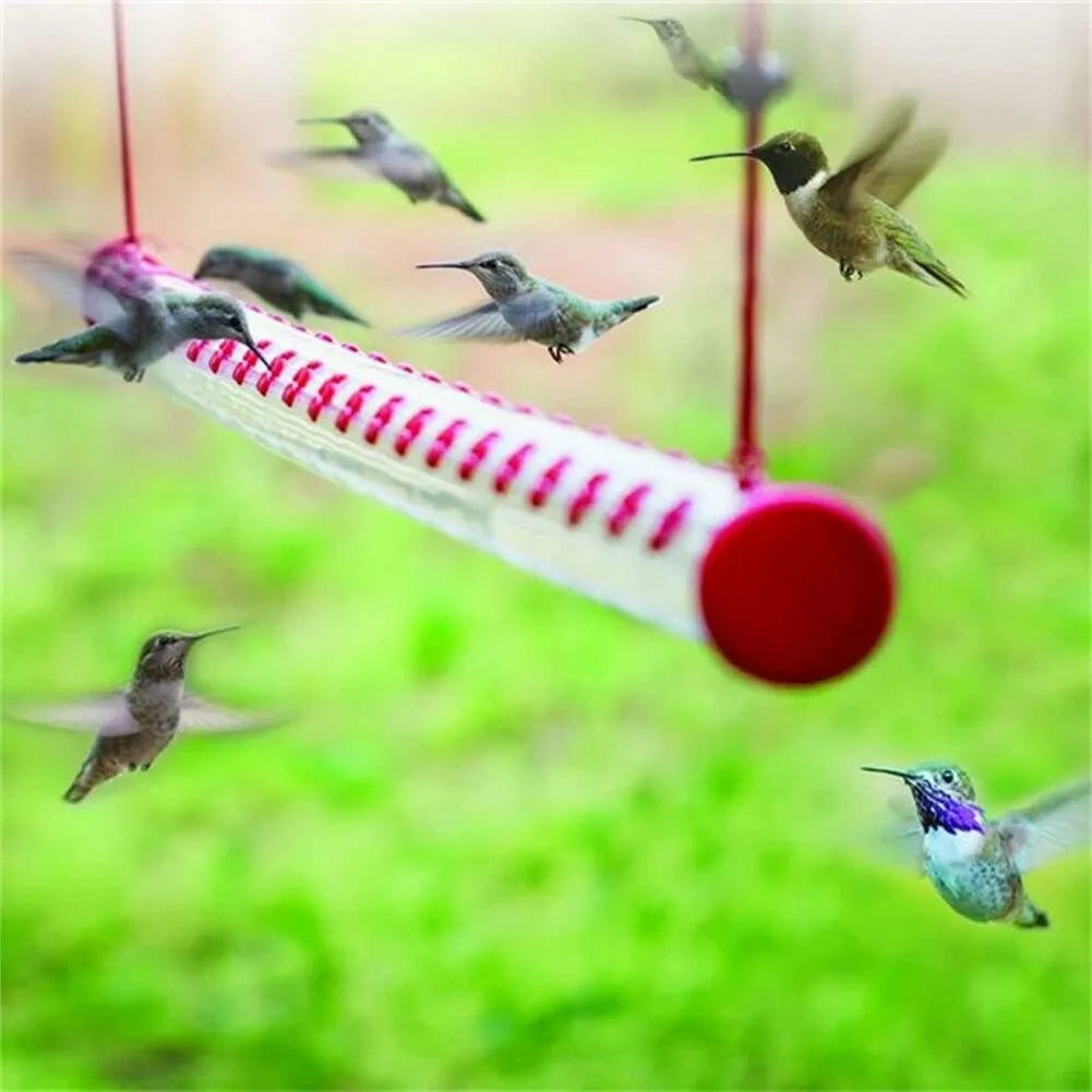 Best Hummingbird Feeder - Limited Promotion